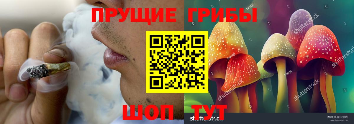 Псилоцибиновые грибы Magic Shrooms  Вход с VPN  где продают   Тамбов 